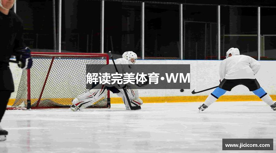 解读完美体育·WM
